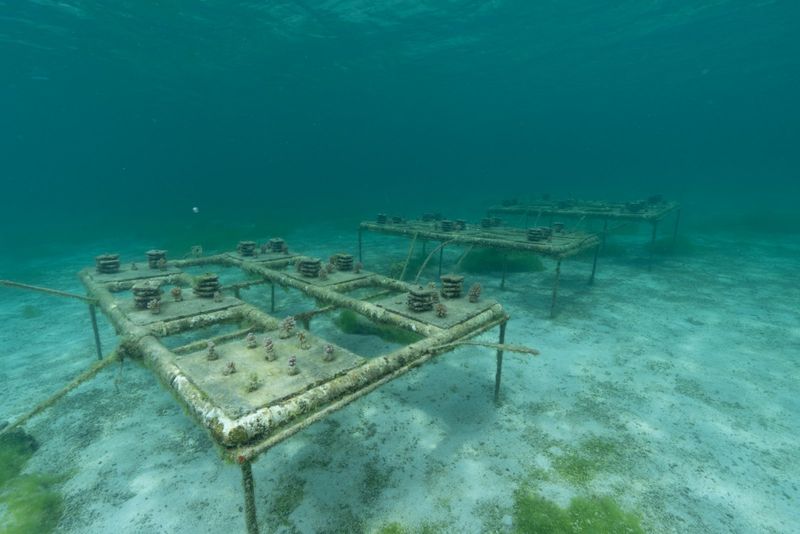 Photos: EXPEDITION: SAVING OUR SEAS to Premiere on National Geographic — photo 23 of 31