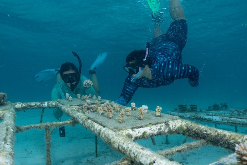 Photos: EXPEDITION: SAVING OUR SEAS to Premiere on National Geographic — photo 24 of 31