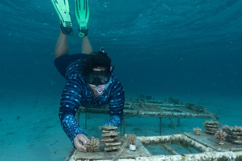 Photos: EXPEDITION: SAVING OUR SEAS to Premiere on National Geographic — photo 31 of 31