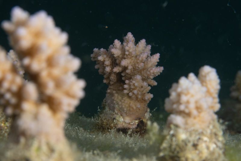 Photos: EXPEDITION: SAVING OUR SEAS to Premiere on National Geographic — photo 27 of 31