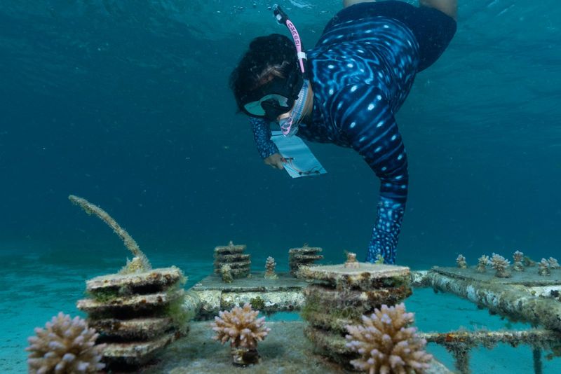 Photos: EXPEDITION: SAVING OUR SEAS to Premiere on National Geographic — photo 28 of 31
