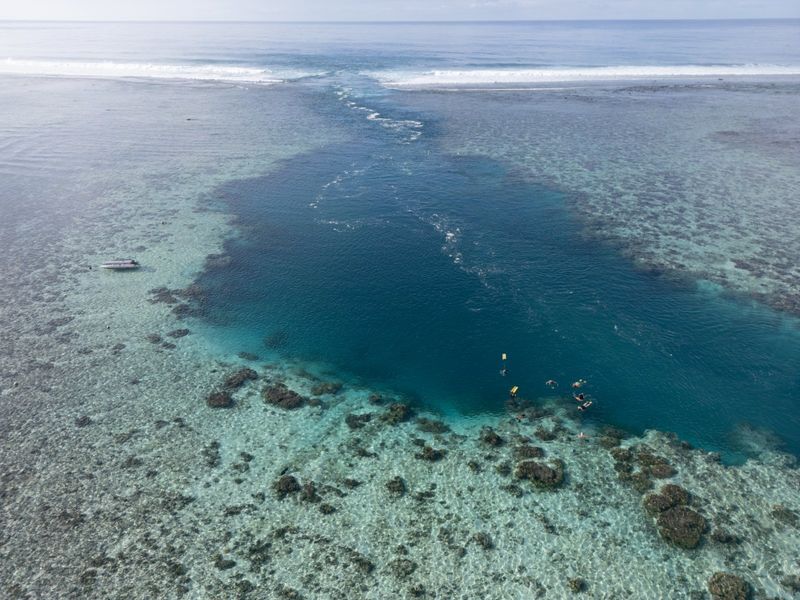 Photos: EXPEDITION: SAVING OUR SEAS to Premiere on National Geographic — photo 29 of 31