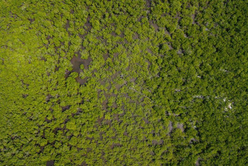Photos: EXPEDITION: SAVING OUR SEAS to Premiere on National Geographic — photo 22 of 31