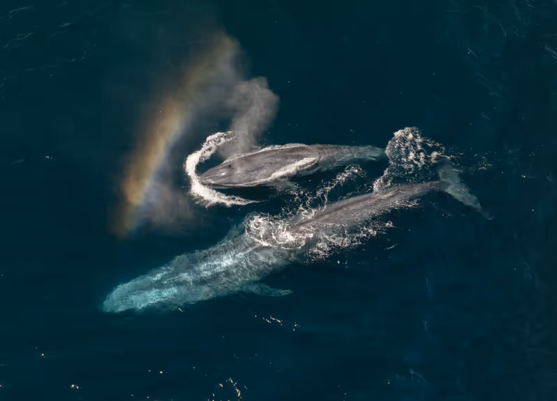 Photos: EXPEDITION: SAVING OUR SEAS to Premiere on National Geographic — photo 1 of 31