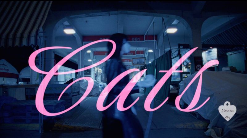 Photos: LAND OF TALK to Release Double Single 'Dogs b/w Cats' and Album LASTS — photo 4 of 4