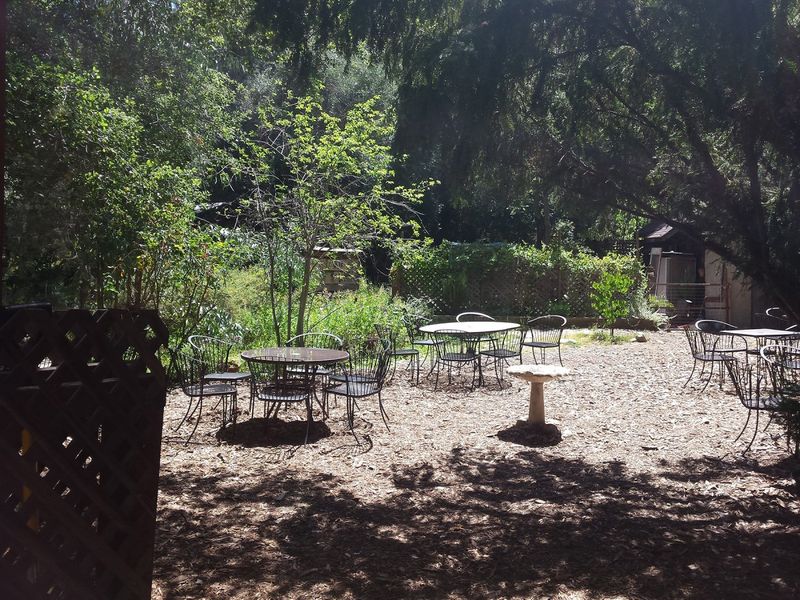 Review: WAITING IN THE WINGS at Theatricum Botanicum Image