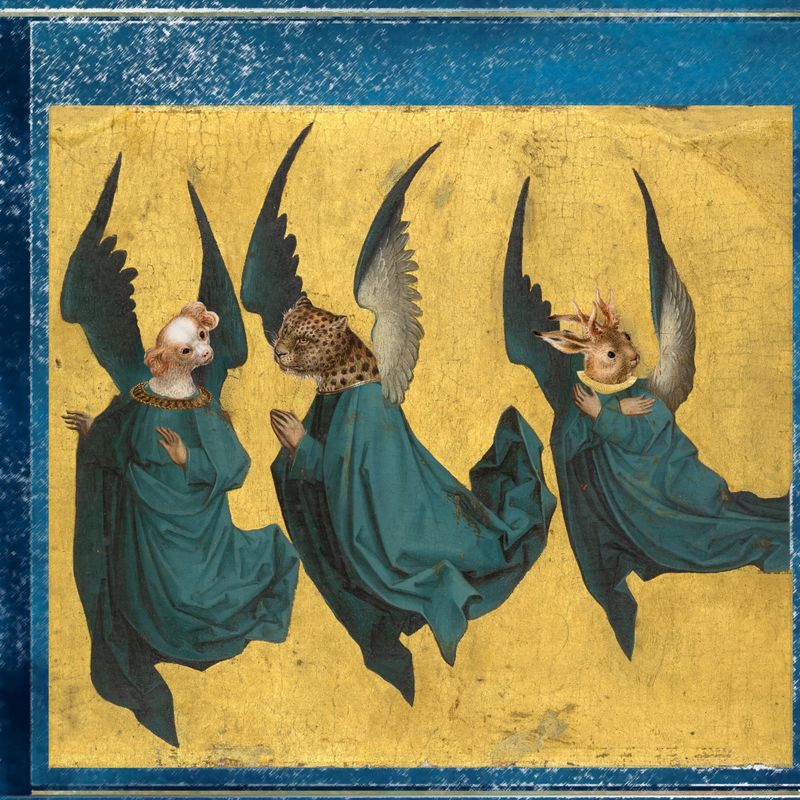 Photos: CUT THE KIDS IN HALF to Release ANIMALS ON ANGEL DUST — photo 3 of 4