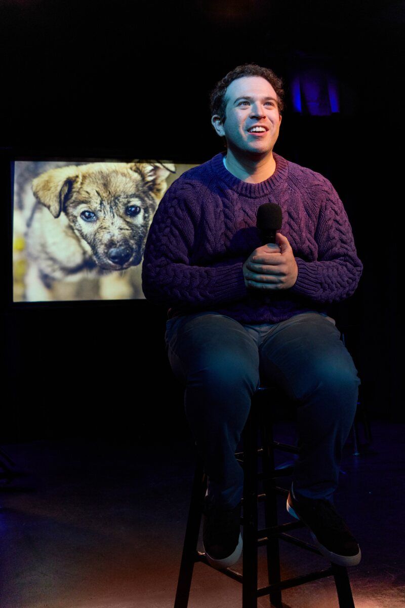 Photos: THE DOG SHOW to Open at The Triad Theater — photo 10 of 14