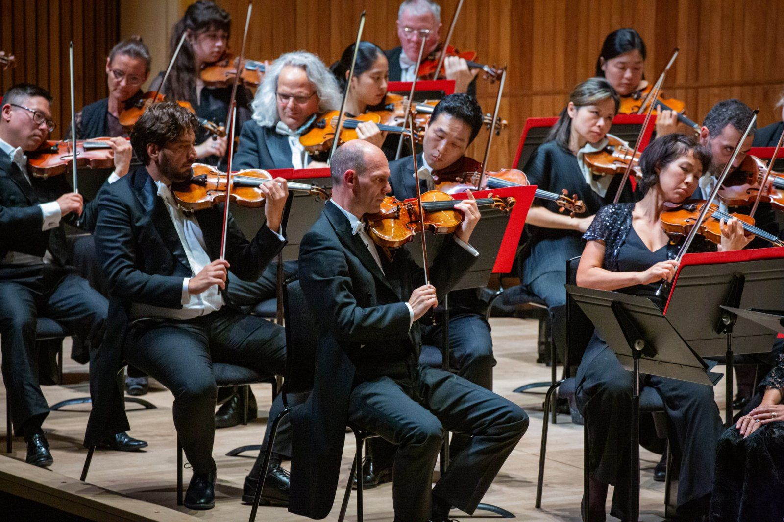 Photos: Philharmonia Orchestra to Present Beethoven Cycle at Southbank Centre — photo 6 of 14