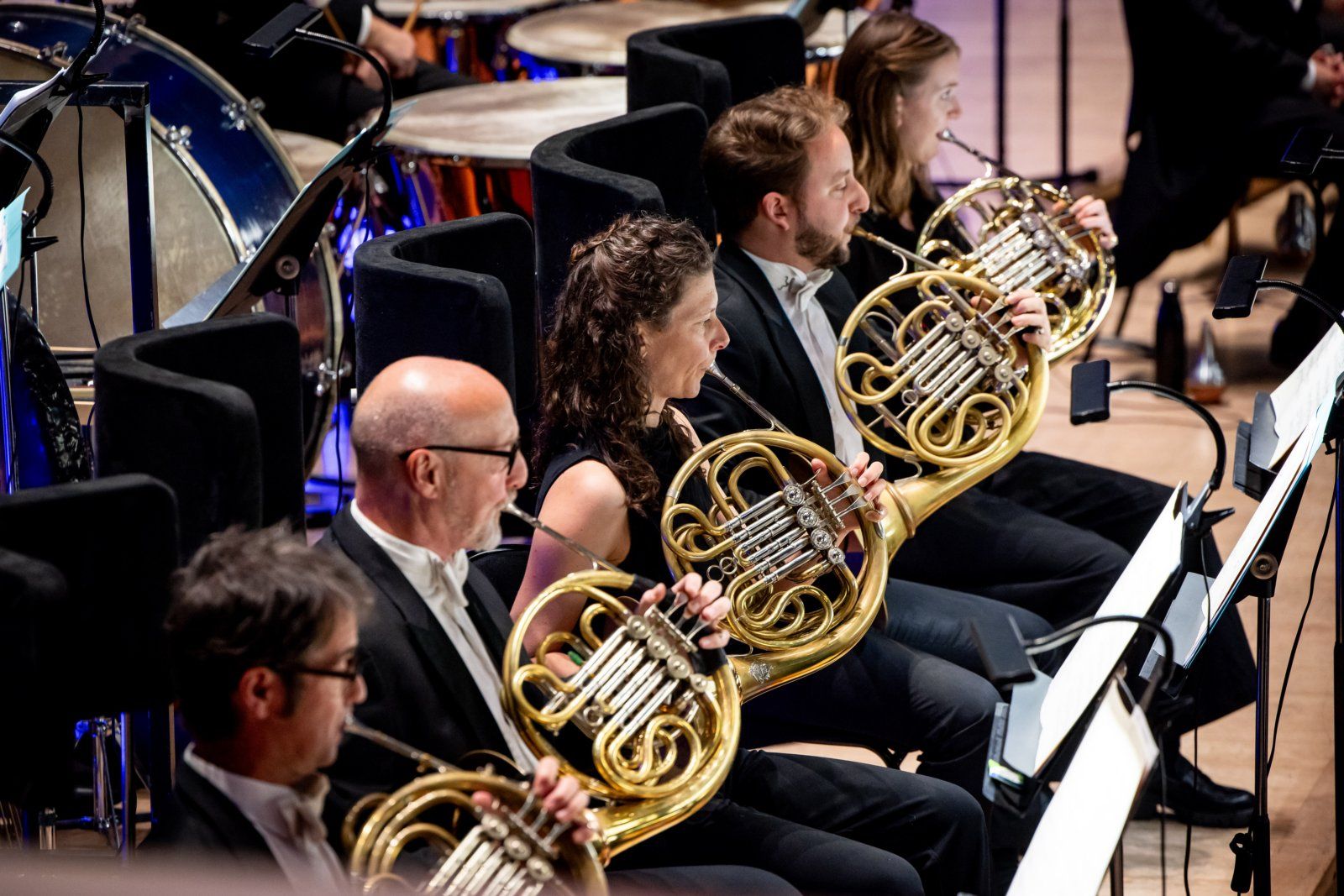 Photos: Philharmonia Orchestra to Present Beethoven Cycle at Southbank Centre — photo 7 of 14