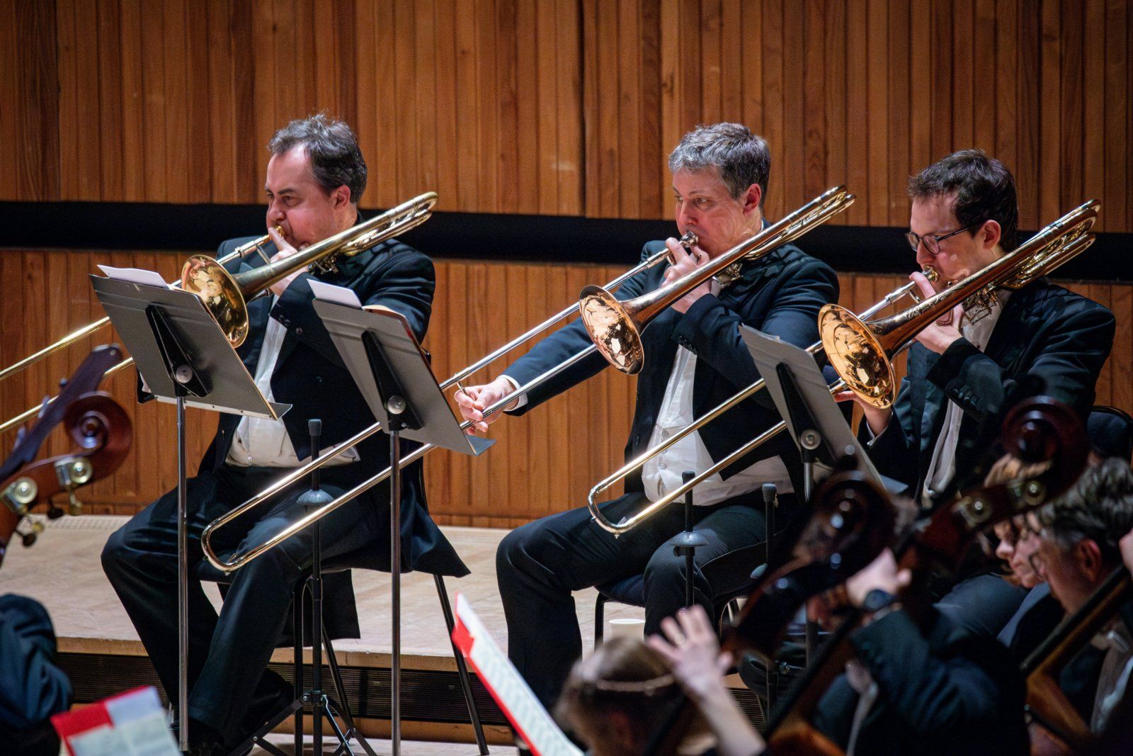 Photos: Philharmonia Orchestra to Present Beethoven Cycle at Southbank Centre — photo 13 of 14