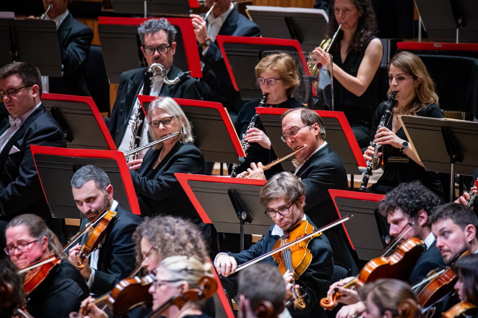 Photos: Philharmonia Orchestra to Present Beethoven Cycle at Southbank Centre — photo 14 of 14