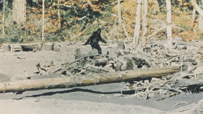 Photos: CAPTURING BIGFOOT Filmmakers Release 4K Scan of Patterson-Gimlin Footage — photo 2 of 7