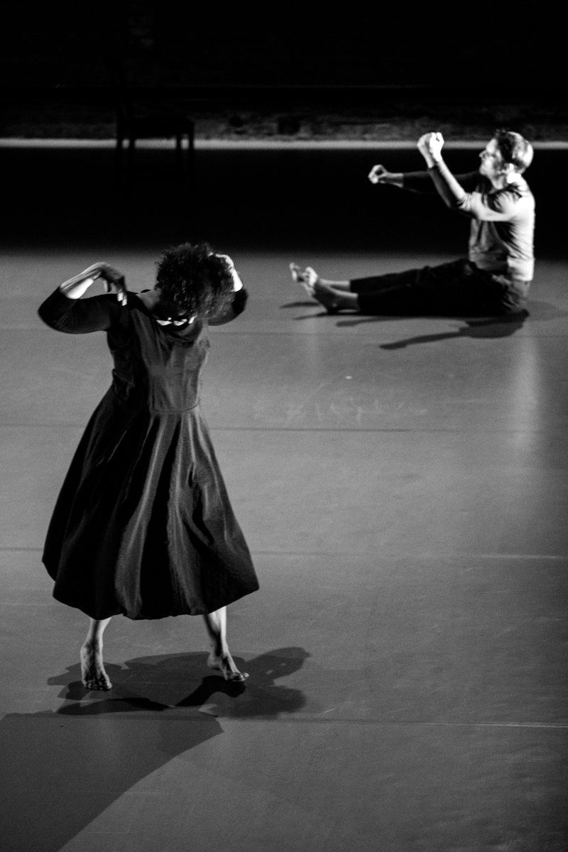 Review: POLISH DANCE PLATFORM 2026 in Wrocław Image