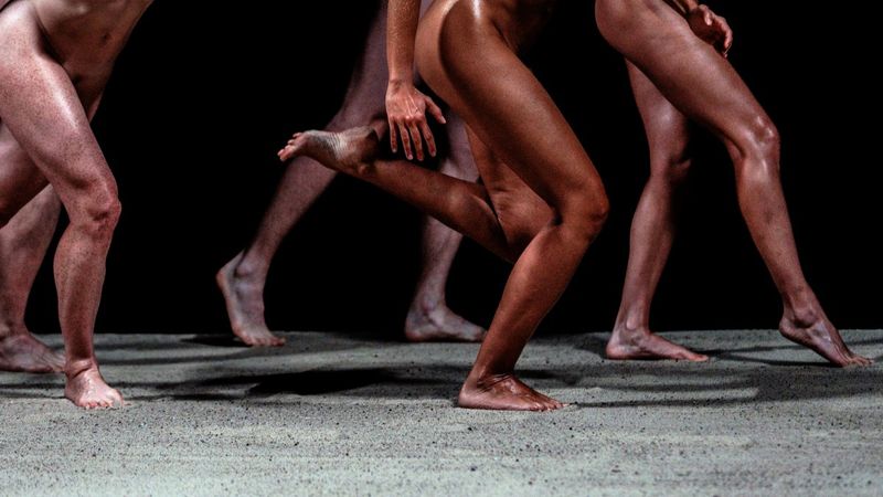 Review: POLISH DANCE PLATFORM 2026 in Wrocław Image