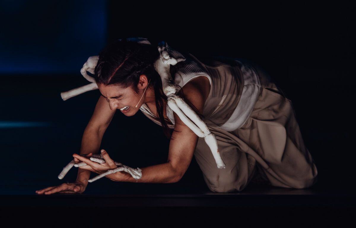 Photos: ENO's ANGEL'S BONE Begins Performances at the London Coliseum — photo 10 of 21