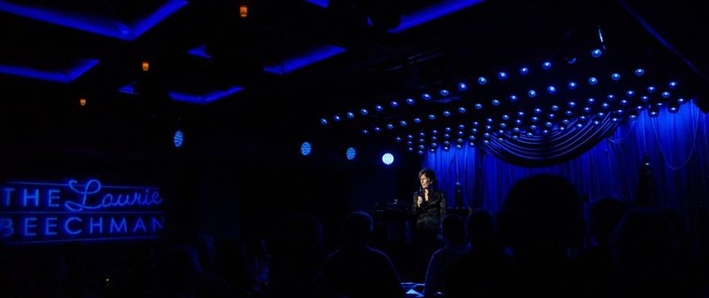Review: Marieann Meringolo Rises To The Streisand Occasion With THE WAY SHE MAKES ME FEEL at The Laurie Beechman Image