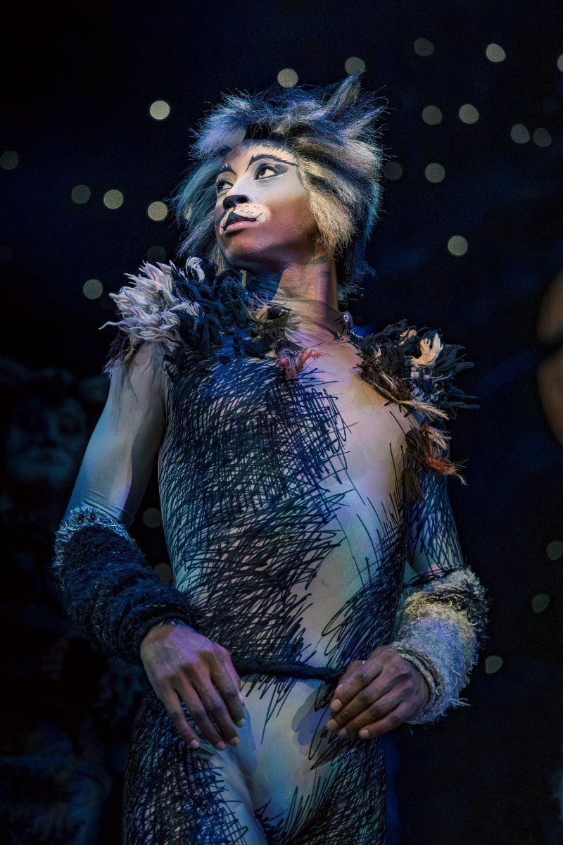 Feature: So...What is CATS Even About? A Character Guide to CATS THE MUSICAL Image