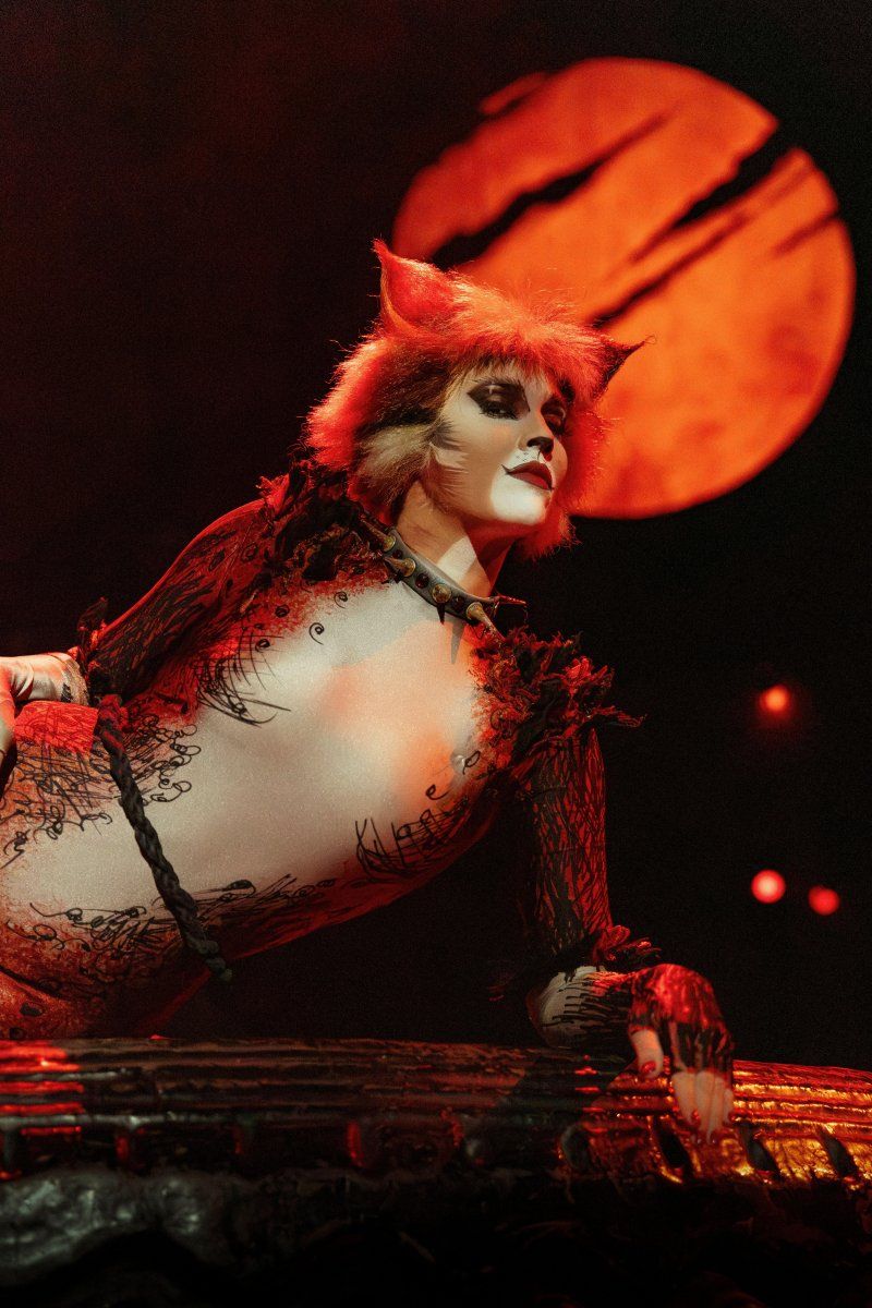 Feature: So...What is CATS Even About? A Character Guide to CATS THE MUSICAL Image