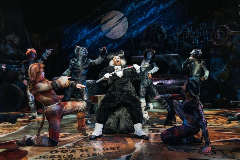 Feature: So...What is CATS Even About? A Character Guide to CATS THE MUSICAL Image