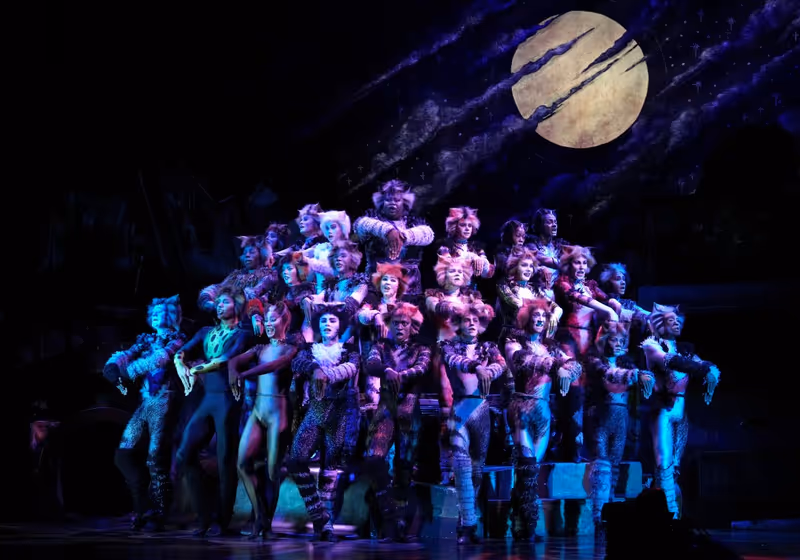 Feature: So...What is CATS Even About? A Character Guide to CATS THE MUSICAL Image