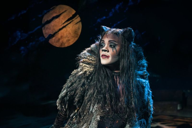 Feature: So...What is CATS Even About? A Character Guide to CATS THE MUSICAL Image