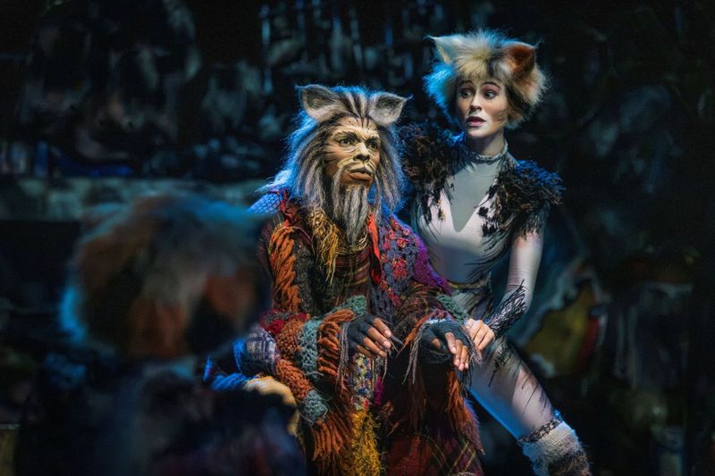 Feature: So...What is CATS Even About? A Character Guide to CATS THE MUSICAL Image
