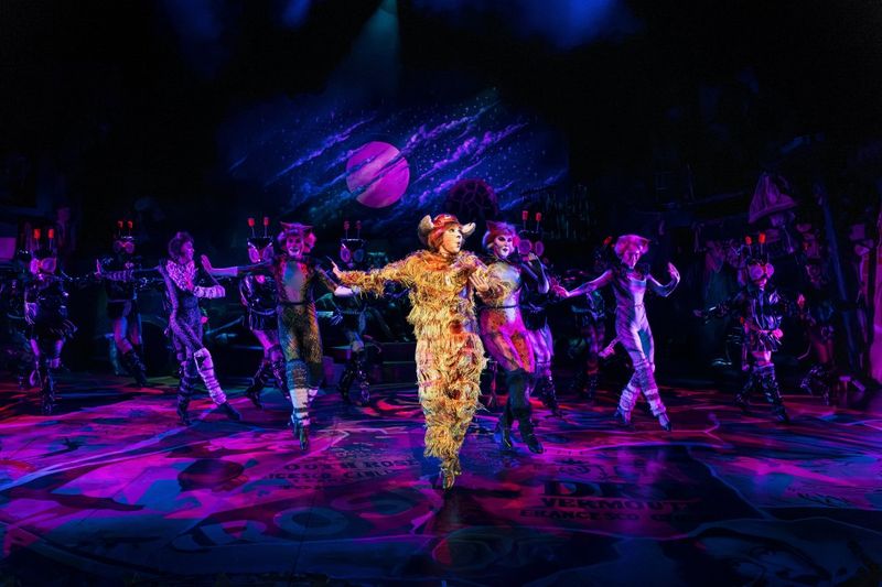 Feature: So...What is CATS Even About? A Character Guide to CATS THE MUSICAL Image