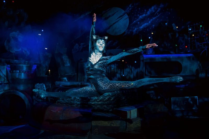 Feature: So...What is CATS Even About? A Character Guide to CATS THE MUSICAL Image