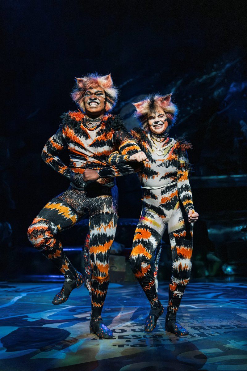 Feature: So...What is CATS Even About? A Character Guide to CATS THE MUSICAL Image
