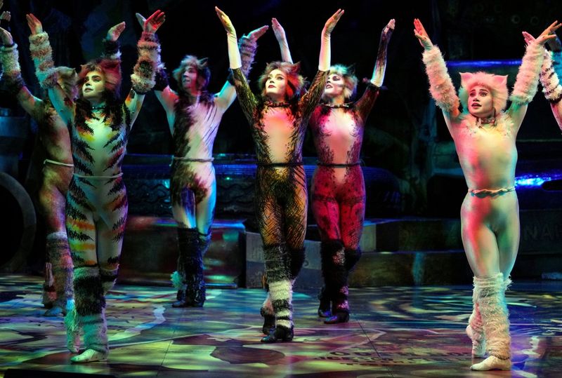 Feature: So...What is CATS Even About? A Character Guide to CATS THE MUSICAL Image