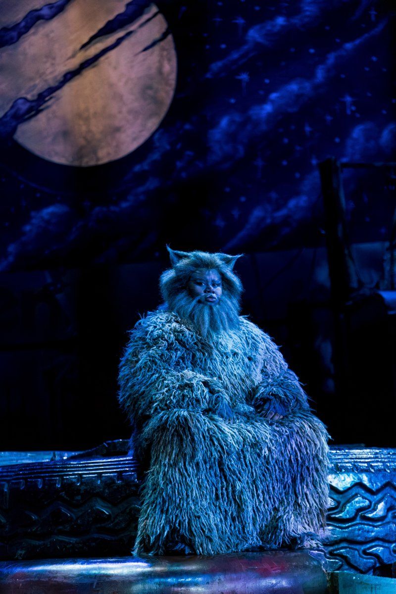 Feature: So...What is CATS Even About? A Character Guide to CATS THE MUSICAL Image
