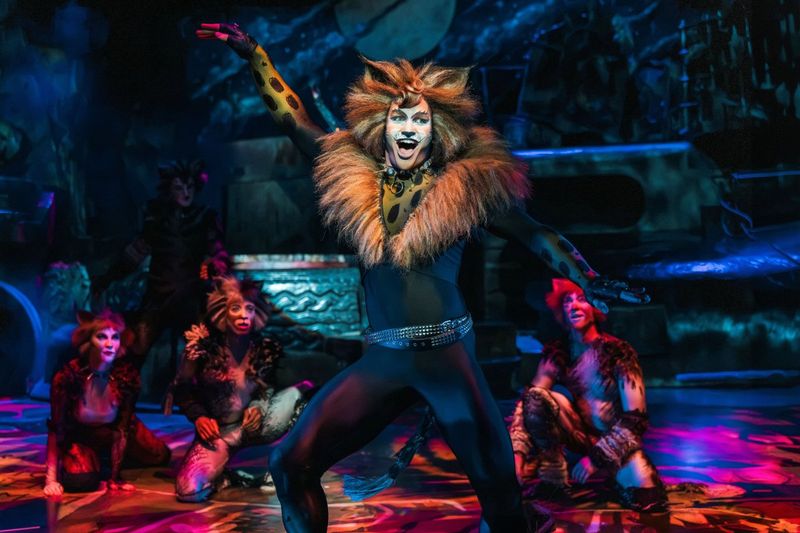 Feature: So...What is CATS Even About? A Character Guide to CATS THE MUSICAL Image
