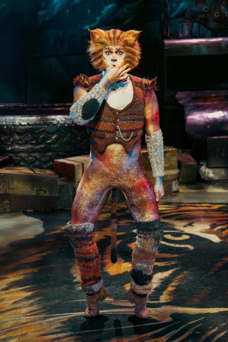 Feature: So...What is CATS Even About? A Character Guide to CATS THE MUSICAL Image
