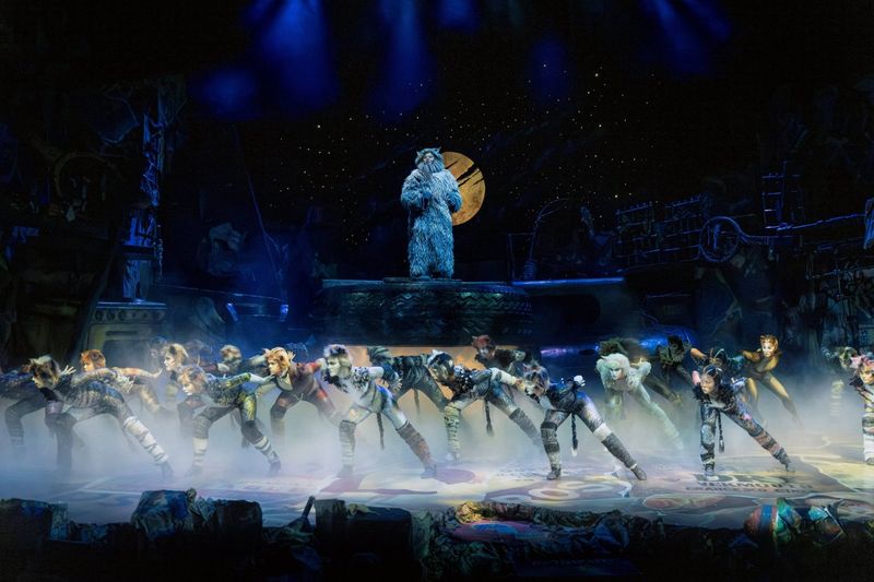 Feature: So...What is CATS Even About? A Character Guide to CATS THE MUSICAL Image