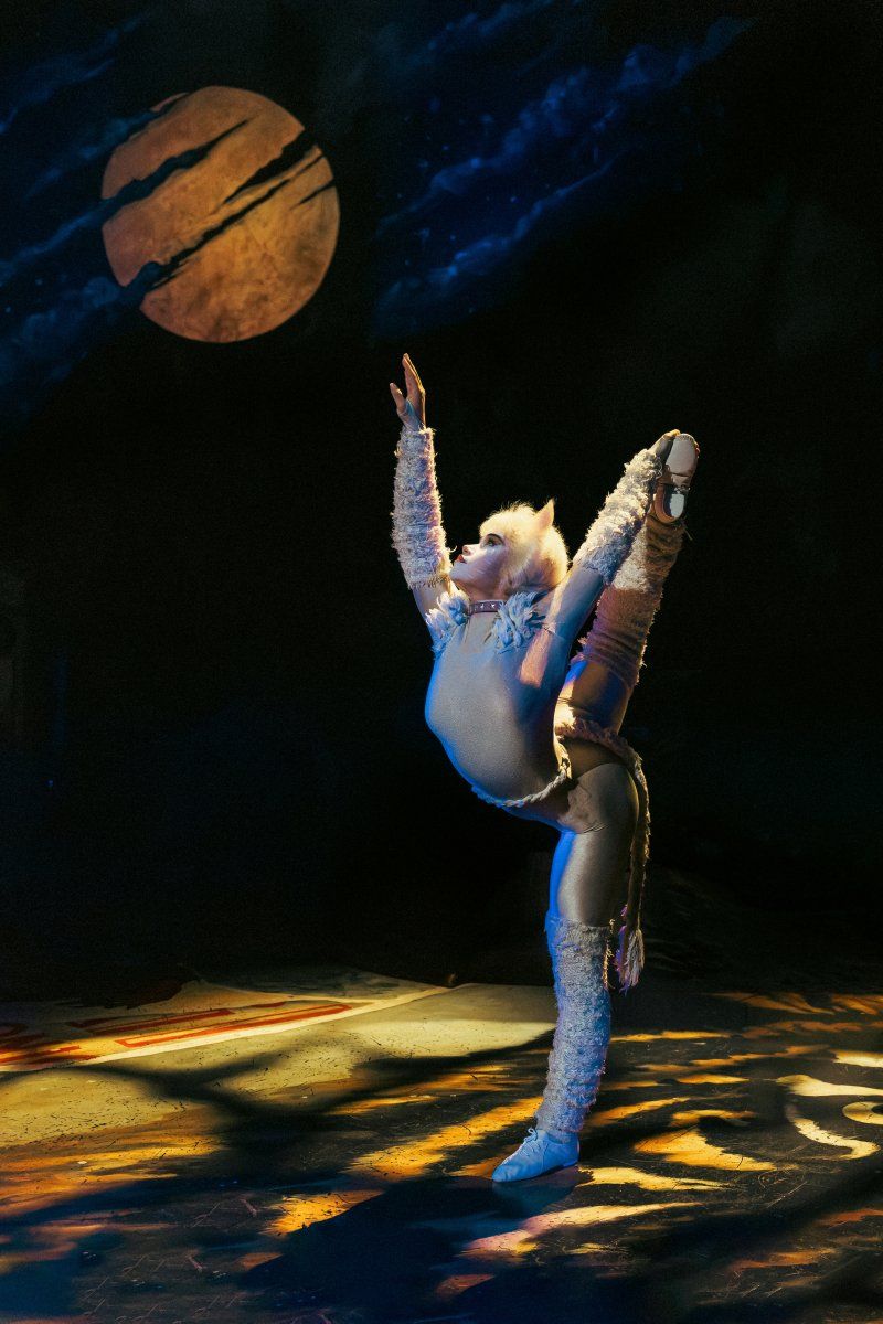 Feature: So...What is CATS Even About? A Character Guide to CATS THE MUSICAL Image
