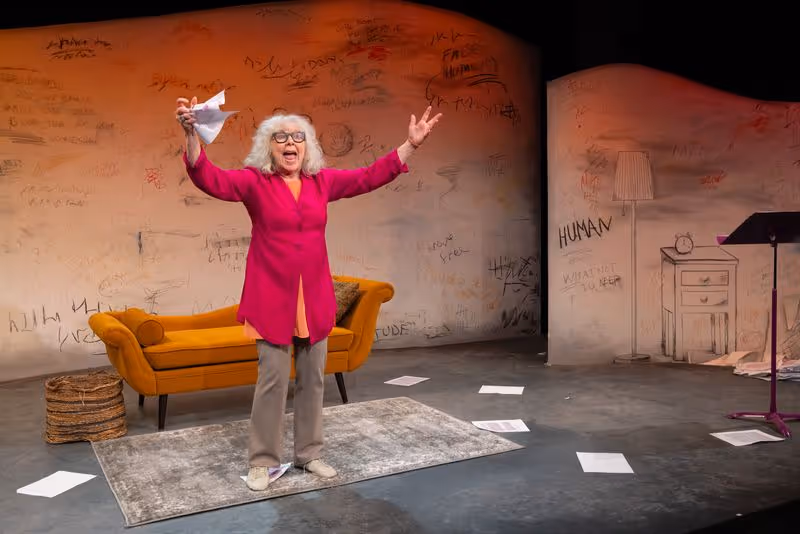 Review: Kathryn Grody’s THE EXPECTED 3RD Shines Bright at GSP Image