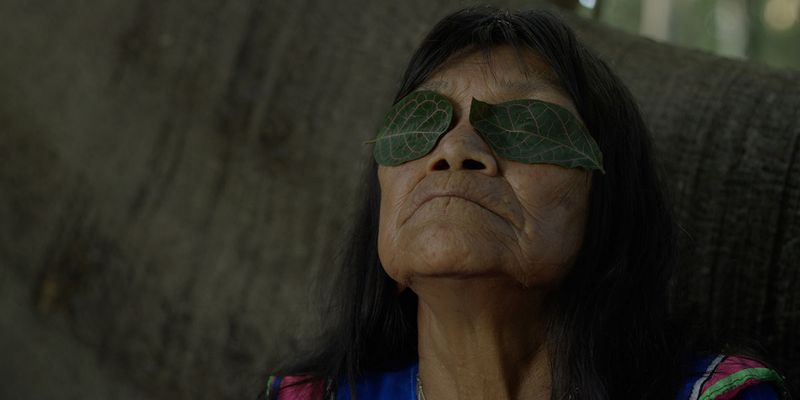 THE HUMMINGBIRD PAINTS FRAGRANT SONGS to Open DOC NYC 2026 Image