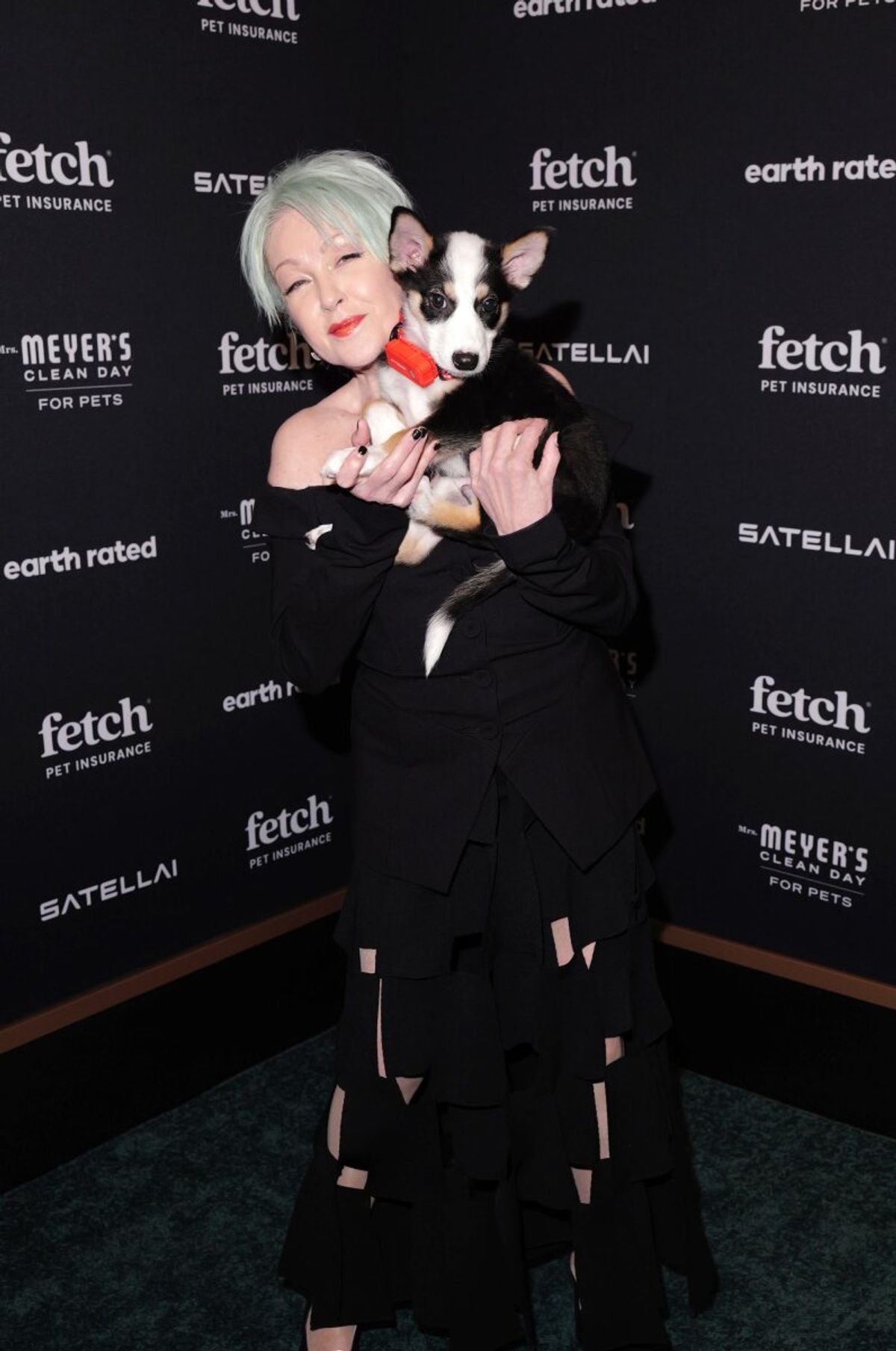 Cyndi Lauper at Photos: Cyndi Lauper, Bernadette Peters, Darren Criss, Ariana DeBose and More at 2nd Annual Fetch Pet Gala
