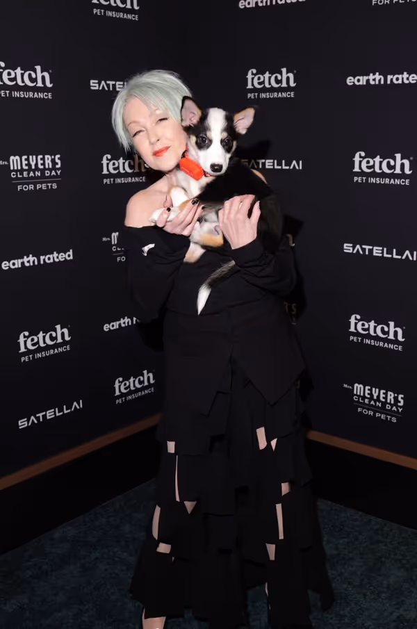 Cyndi Lauper Photo