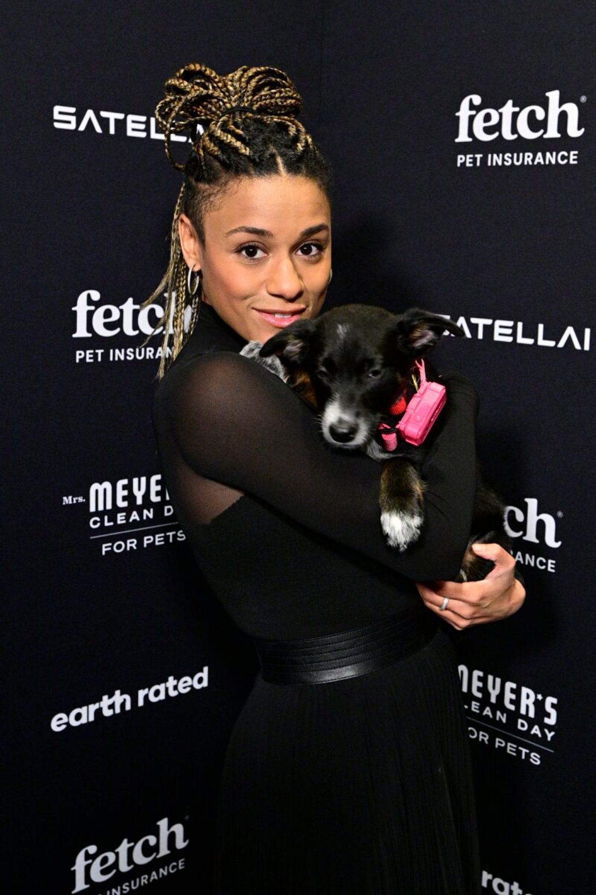 Ariana DeBose at Photos: Cyndi Lauper, Bernadette Peters, Darren Criss, Ariana DeBose and More at 2nd Annual Fetch Pet Gala