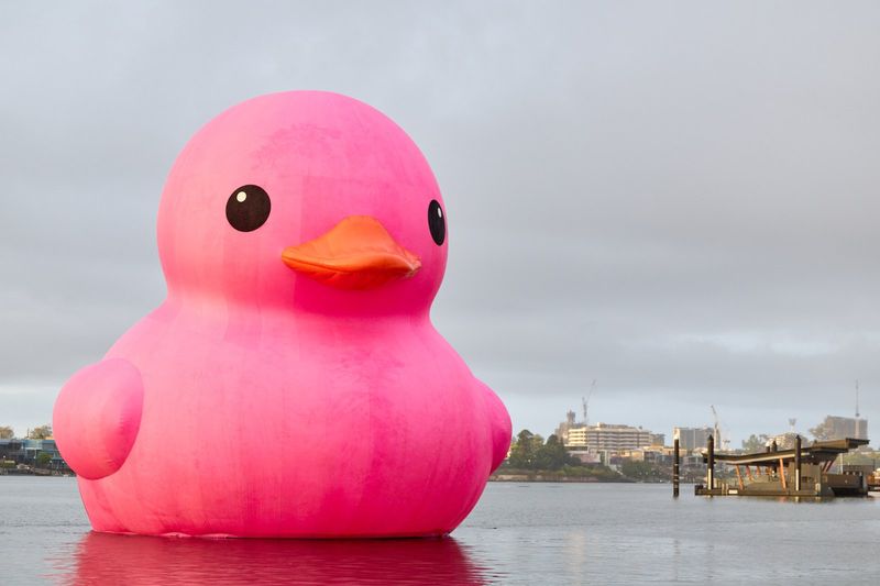 Photos: Giant Pink Rubber Duck to Launch Melt Festival 2026 on Brisbane River — photo 2 of 12