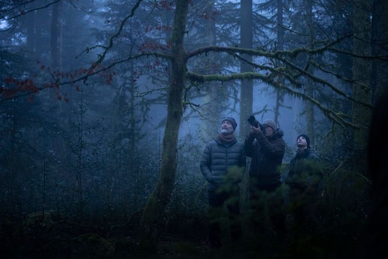 Photos: French Film Festival UK to Return for 34th Edition Across 40+ UK Venues — photo 16 of 18