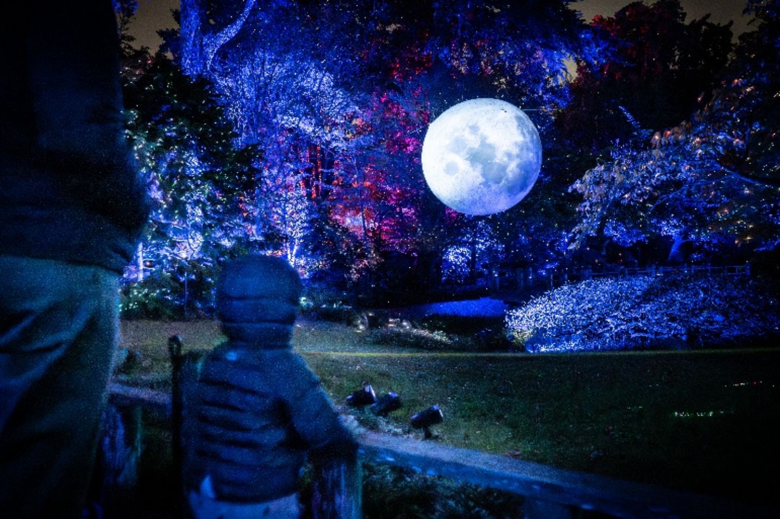 Photos: LIGHTSCAPE to Return to Brooklyn Botanic Garden — photo 1 of 6