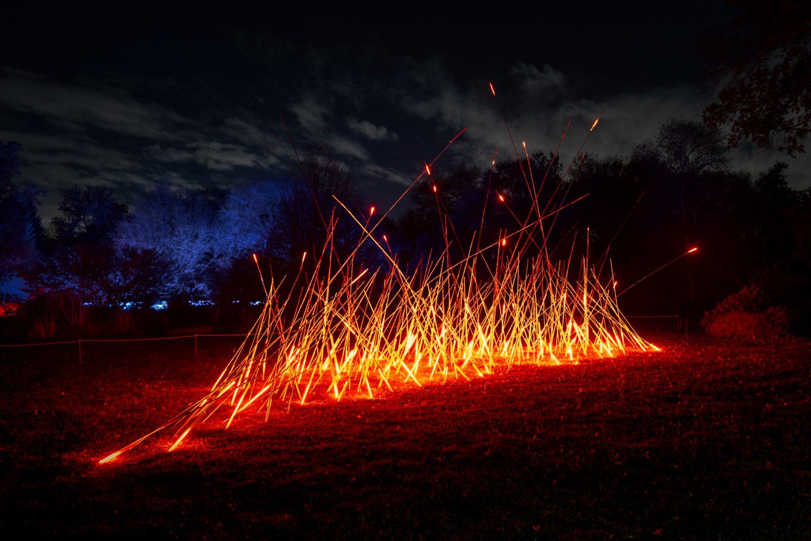 Photos: LIGHTSCAPE to Return to Brooklyn Botanic Garden — photo 2 of 6