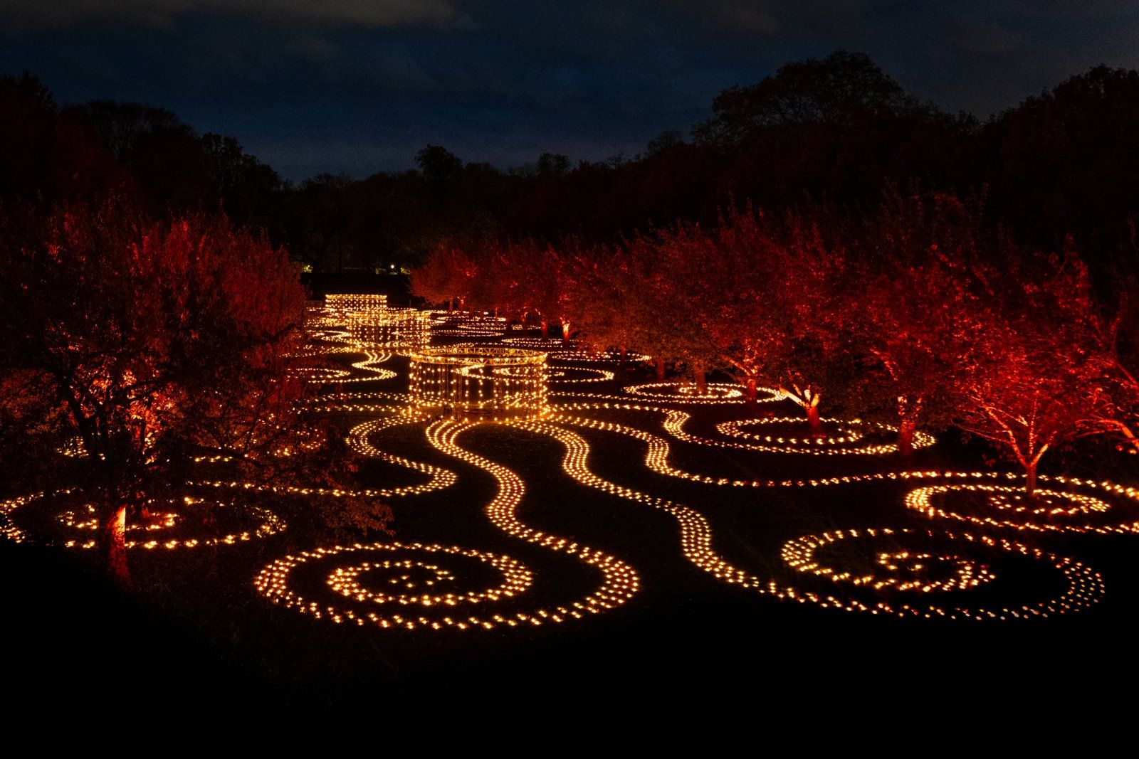 Photos: LIGHTSCAPE to Return to Brooklyn Botanic Garden — photo 3 of 6