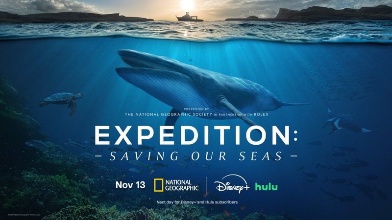 Photos: WOLVES UP CLOSE WITH BERTIE GREGORY to Premiere on National Geographic — photo 3 of 4