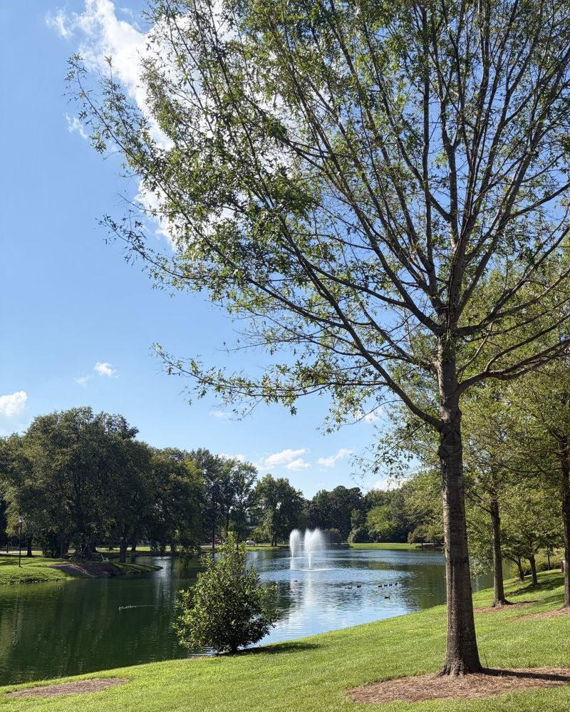Student Blog: When Back-To-School Season Becomes Going-To-College Season Image