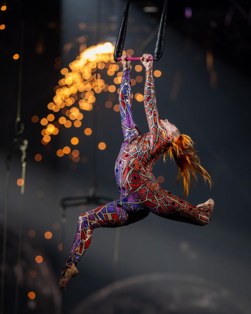 Review: RINGLING BROS. AND BARNUM & BAILEY at Grand Casino Arena Image