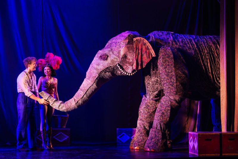 Photos: WATER FOR ELEPHANTS Tickets to Go on Sale October 30 for Dallas Run — photo 9 of 12
